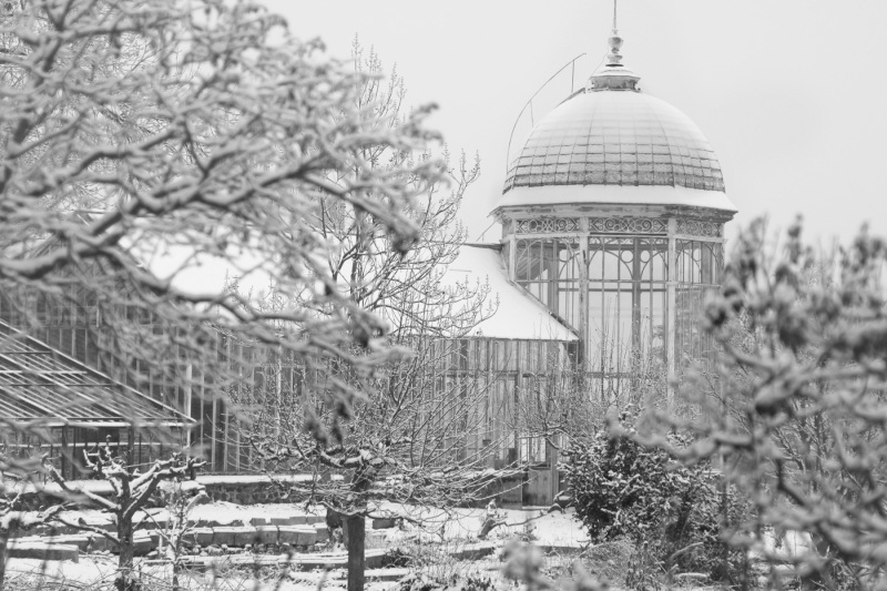 Zatec greenhouse