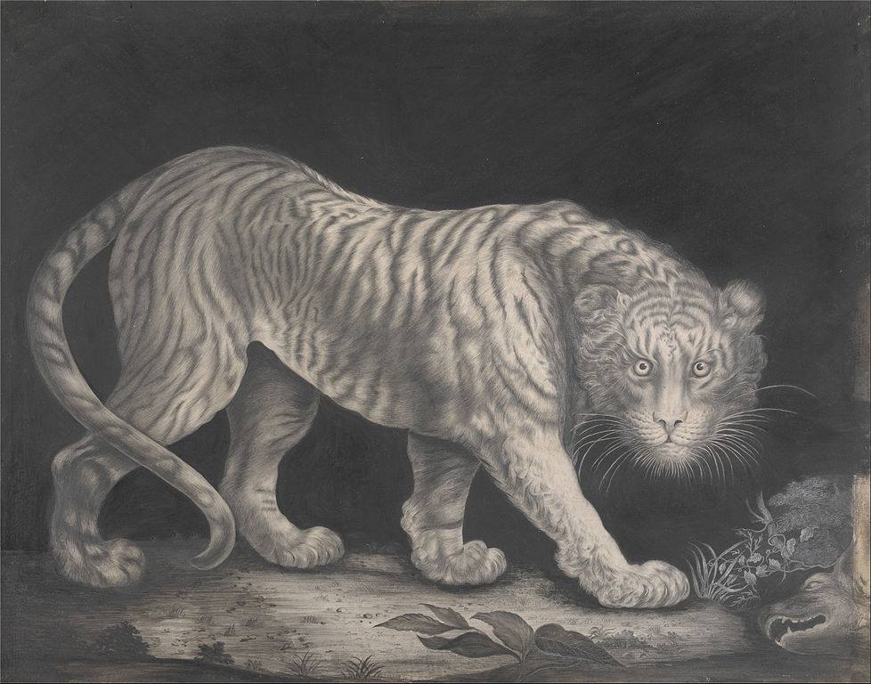 Elizabeth-Pringle-A-Prowling-Tiger-ca.-1800.jpg
